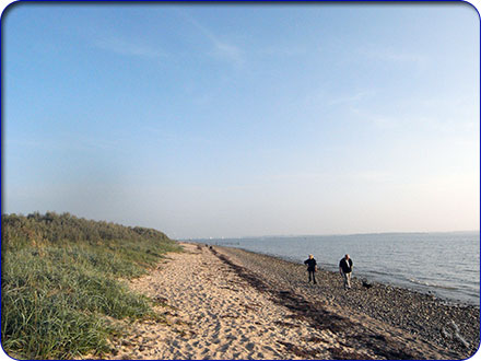 Ostseestrand in der N&auml;he des Ferienhauses