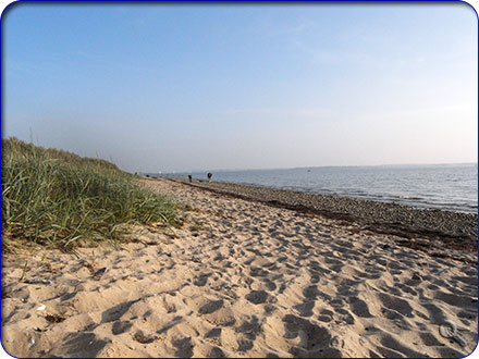 Strand in der N&auml;he des Ferienhauses